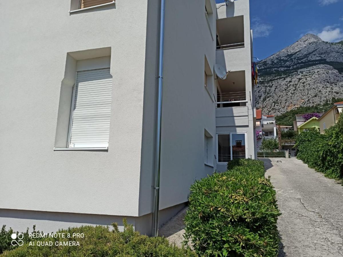 Apartma Robertino 1966 *